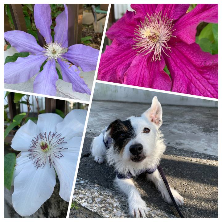 772e2b3e 3d46 447d a9d6 680985adea04 1652254740353