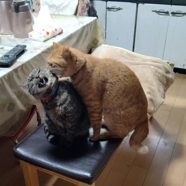 772e3a95 967c 4203 8c30 3eac6638f19b 1703571623042