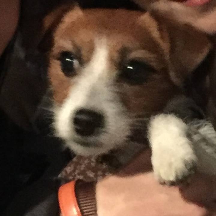 772e3b1f 3641 4068 b3c3 b78247241cc1 1516453182263