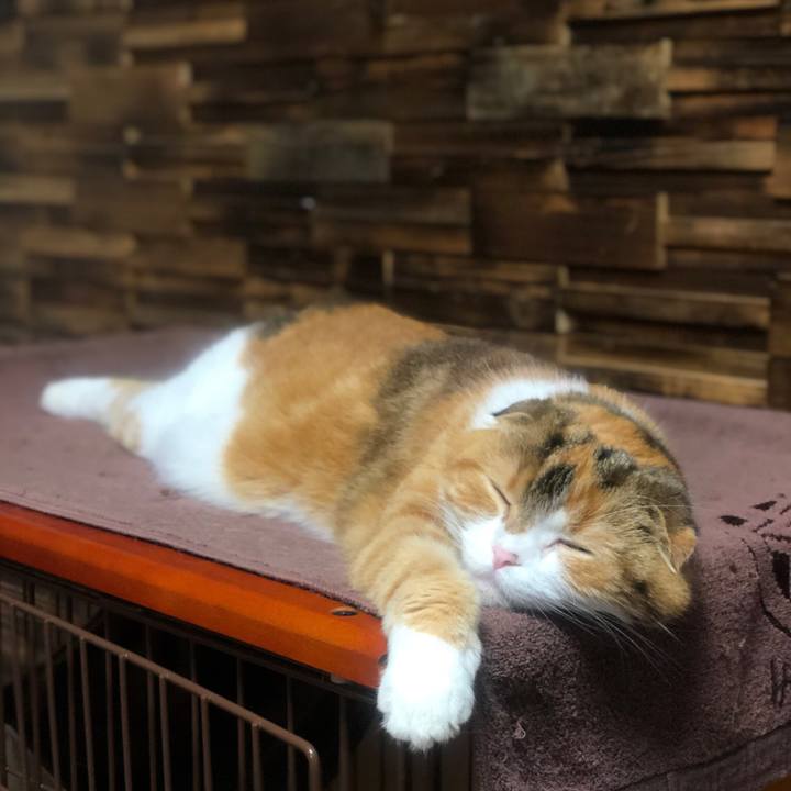 772e4bd9 d854 4f3d a939 439864b3fd8f 1622981763887