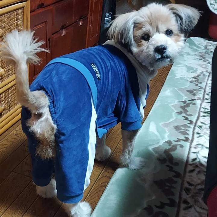 772e8310 03cf 46b8 b46d 69386ece2d38 1674647853945