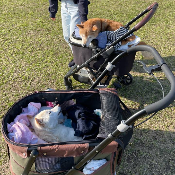 772e8d7c 8d86 423b 99f1 4cd7b07f9e2d 1679221905285