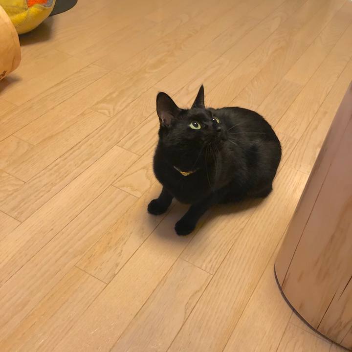 772eec3c 87ce 4440 a375 4d5225db2bf3 1557059374354