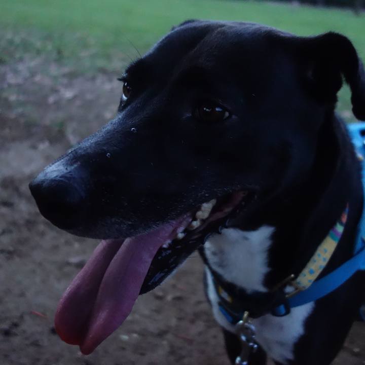 772f2395 c172 4178 b4d6 9c708f0ca04a 1625923457490