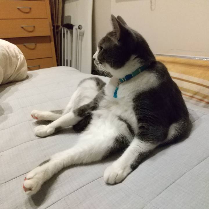 772f77c8 ac92 4da3 9026 927c7a22e359 1627475629517