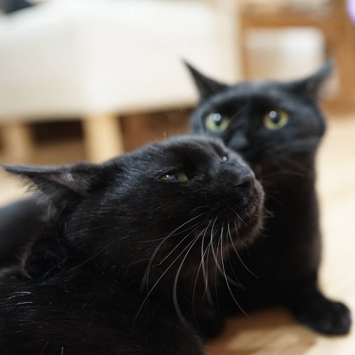 772f80a0 96b8 45a0 9b4f 9bd8d414e7e3 1565135442421