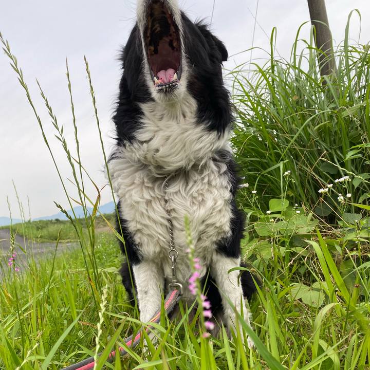 772f8387 8027 49a9 9647 f6015b10448f 1623369436736