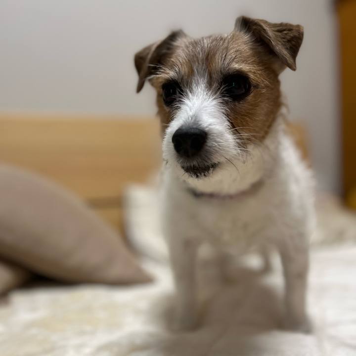 772fbc03 5bb1 42e6 a468 57c62614d801 1712925363696