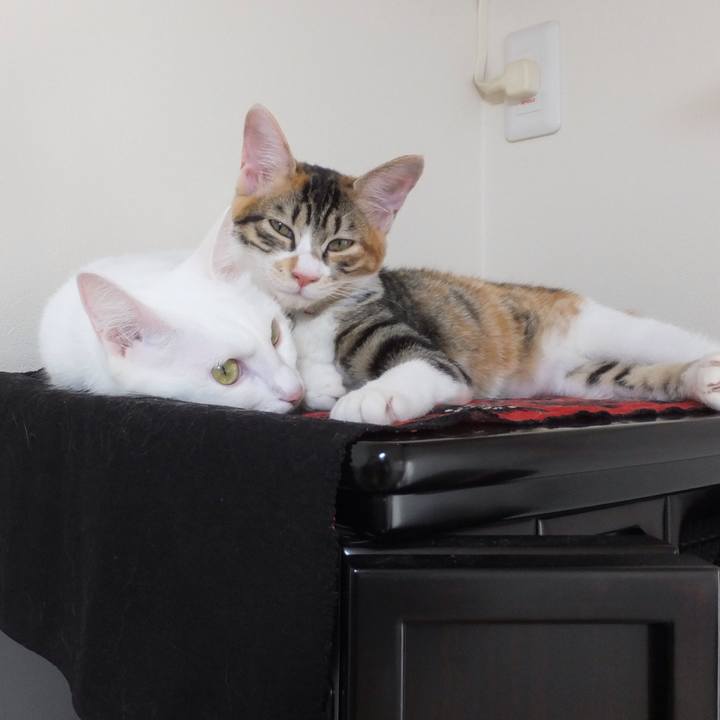 772fcb62 15ba 45b6 9771 0a052d4abefa 1631089940504