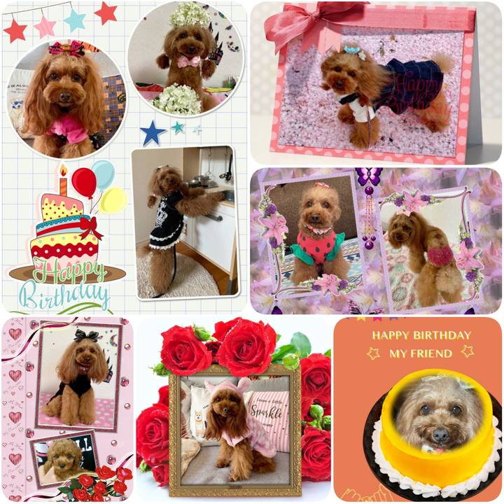 772ff196 e52c 44fa 9074 ec7a3cc7b31d 1628033792568