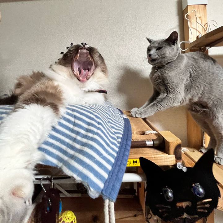 7730199a 626b 40d2 be0b cfc2d9a568b0 1676634082765