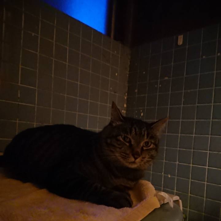 77302582 7522 4f4d bf65 8f0e53dffc0f 1656586344602