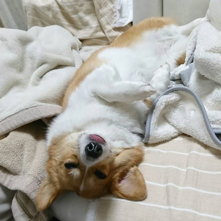 77302bb9 f6d5 4304 b0fc da025b343833 1540633134310