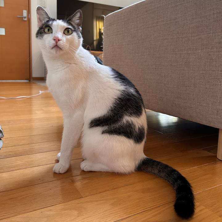 77302fc8 54ec 426a a921 d21673a44e89 1750320876702