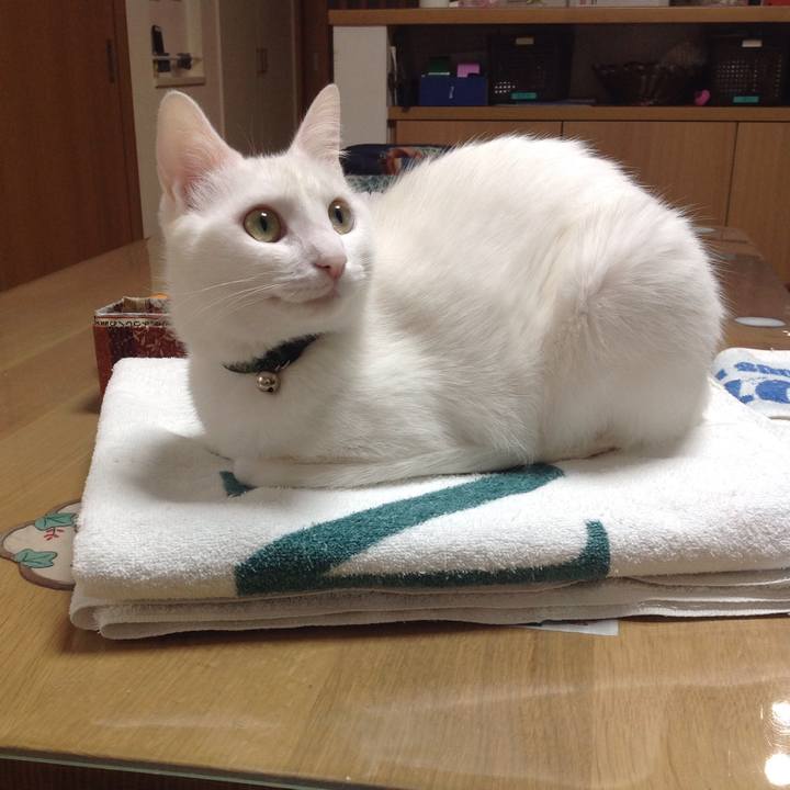 77309ac8 1b04 4a3e 9034 780b2f3cd389 1642983902869