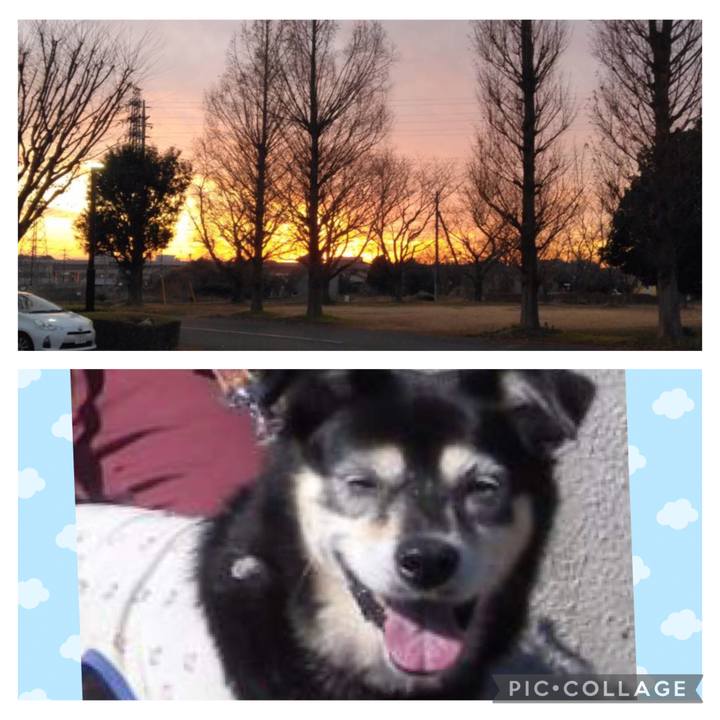 7730f1b6 a62b 4141 8336 21d9cf6da494 1764887649868