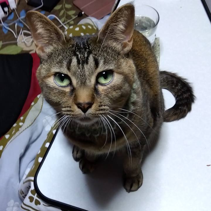 7730f806 d5e5 4cb1 a0ec 8db9c35b2f6a 1645912189960