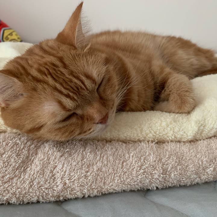 7731072e 216a 4bff 8d46 c8179d5c1eb0 1629697447745