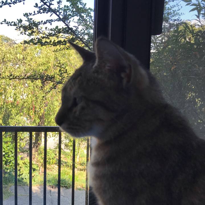 77312a68 8e6f 4b01 b37d b79fc0570f06 1570706774908