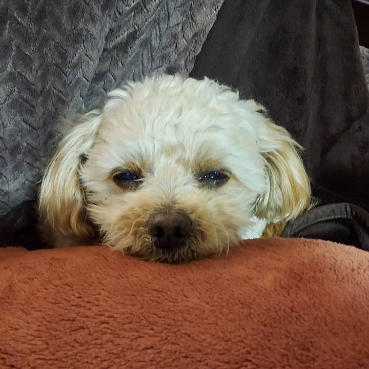 7731baec 4955 4720 a00a bf126bd59a0d 1645330281599