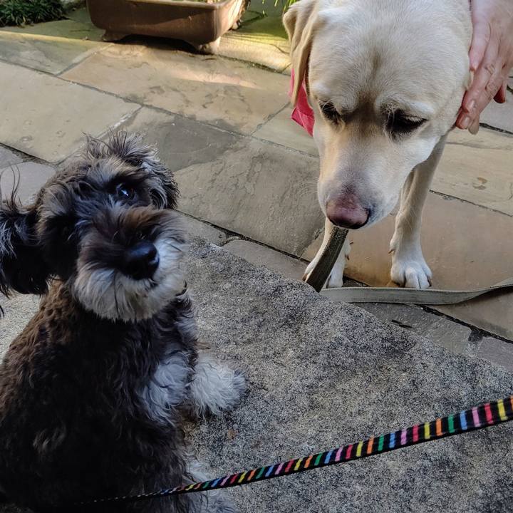 77320d14 44df 4810 a05d 1172c06c1ee4 1603180337749