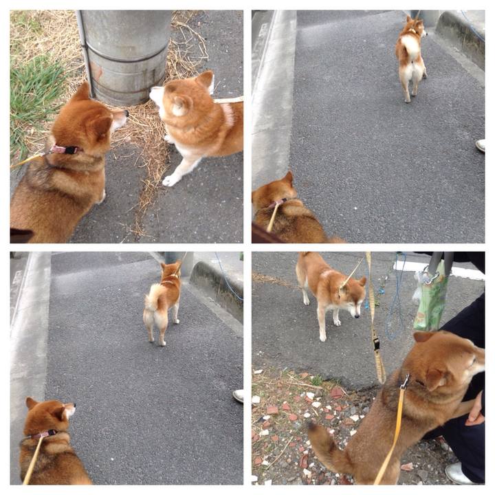 773290dc b840 4586 9f5e 6659755a28a6 1523676886231