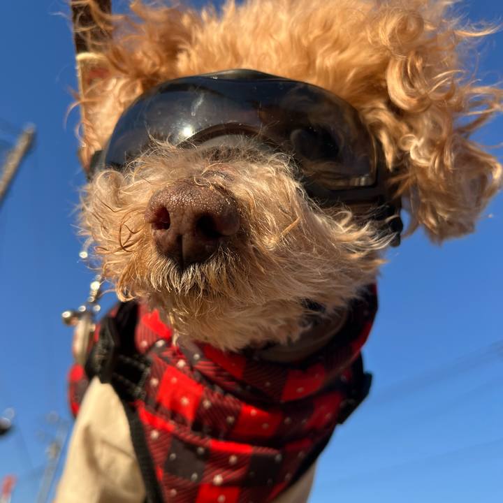 7732adae 53e1 4c75 9712 5ecbbbddb337 1768056874581