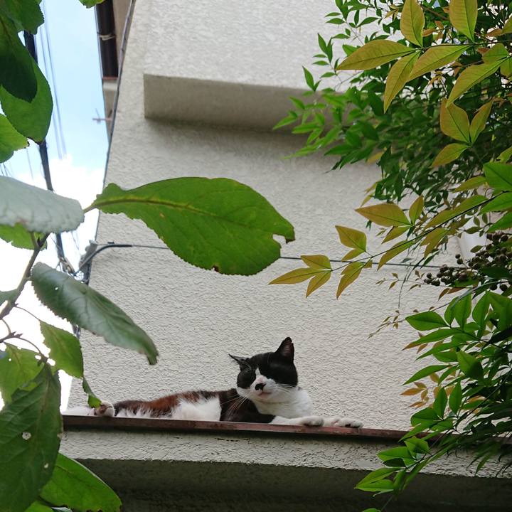 7732c3c5 c119 4ef0 98e2 09ab53dbea27 1538887899236