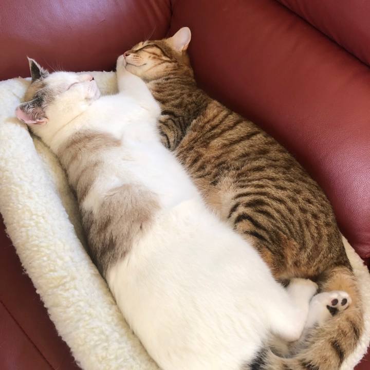 7732ef92 b34e 4190 b295 cb1cdecb92ed 1558510738144