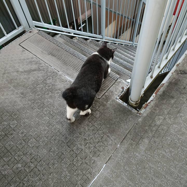 7732fbdb d233 47a6 b048 e73185898c76 1664688634662