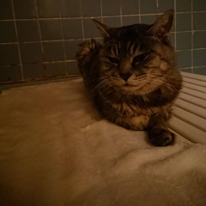 7732fd62 f7e4 4f9e a95f 7cf776309c6c 1575452105844