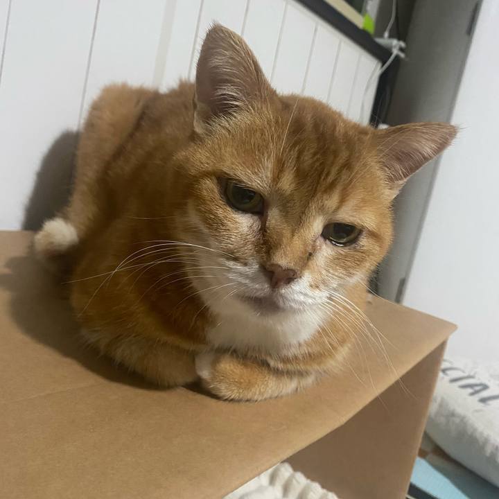 77335de7 f6c0 4426 9d69 0da2c587002b 1718117088347