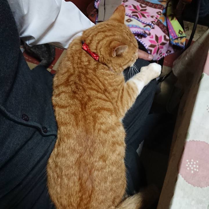 773369f5 3783 4a71 9d8f 5c7d2b659e1a 1576574918062