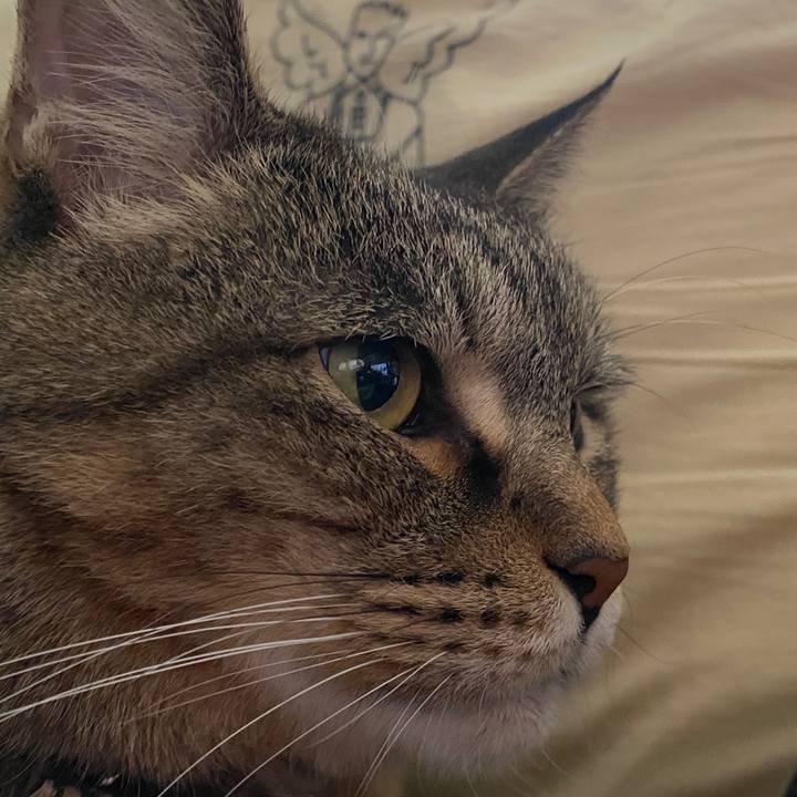 773378f7 91df 4937 86ba 4f744936b330 1578612448004