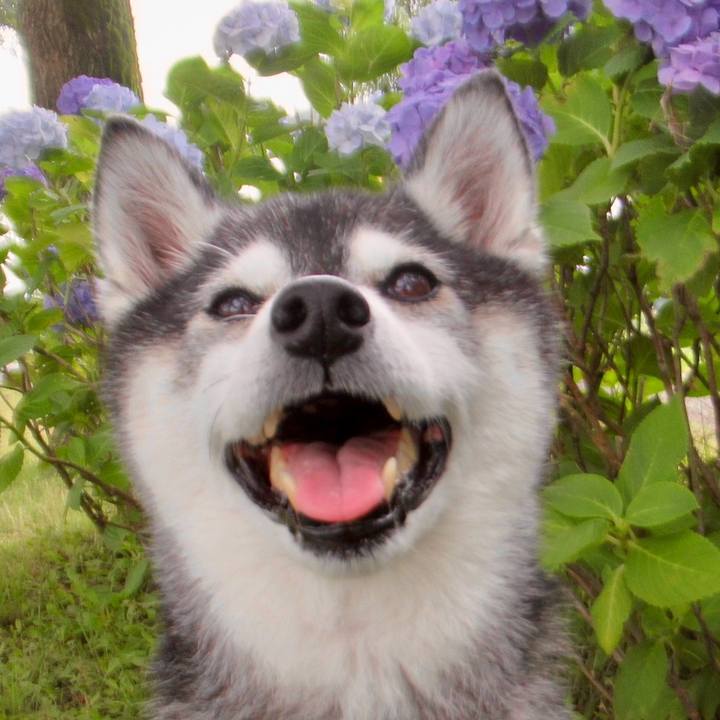 7733a4f9 e59a 474f bc9d 951222583e1f 1722036852765