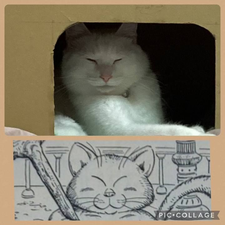 7733c284 a95e 4e65 8950 46a87d6cc3dc 1673740529835