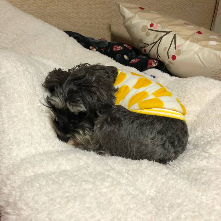 77342436 751f 4d1e 8ded 2a79c7756b1e 1613456779308