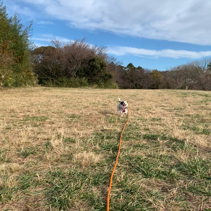 77342d22 ef5f 427f bcdf 427d6a9df2fb 1702859265235