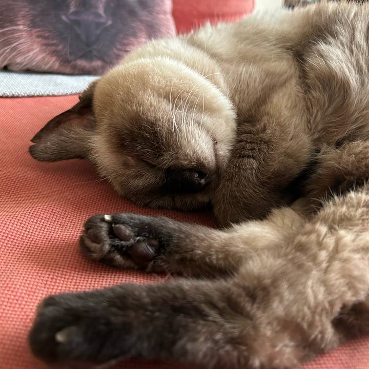 77346937 0113 4294 9dfa 02e1d77df109 1693976268007