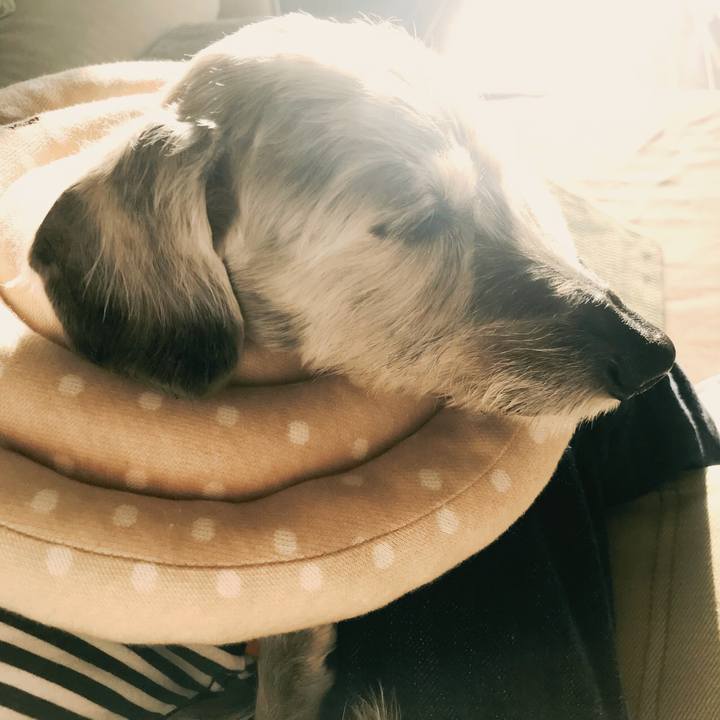 7734bb13 76ce 46a3 9cfd 97db96321985 1540854464299