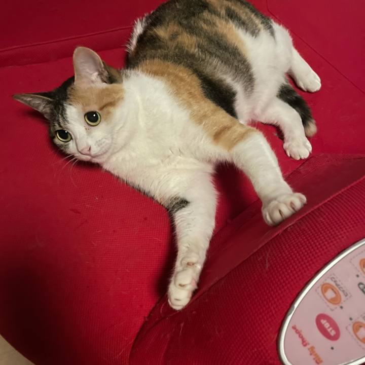 7734fb3a 005e 4cb8 947b 19f0a7478442 1623594604121