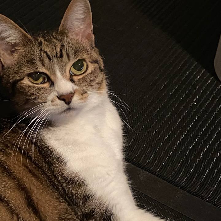 77350208 7766 44e1 923a c75d2675e437 1588244382291