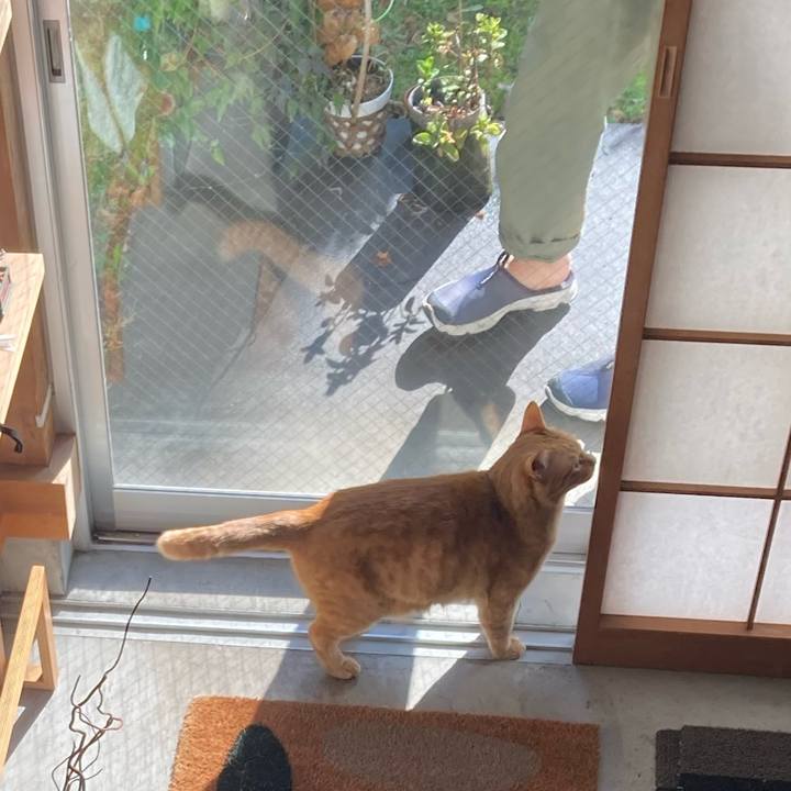 77350362 2ee3 43e0 ae9f 4522fde00e58 1742431282614