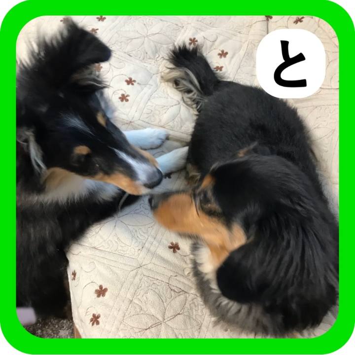 7735083a 3719 431b a0ba 92c37d035959 1514774964332