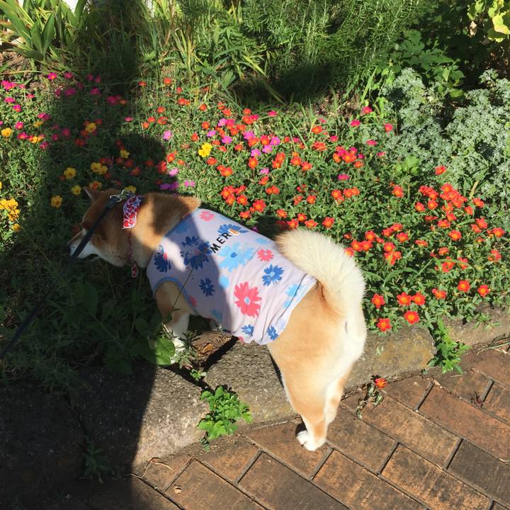 773524b3 d9c6 43a7 b168 7f477ef24b88 1567812633881