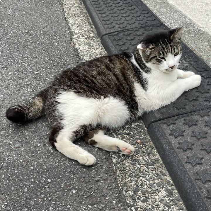 773527f4 af19 4d51 9bf8 70719d387836 1624965369068