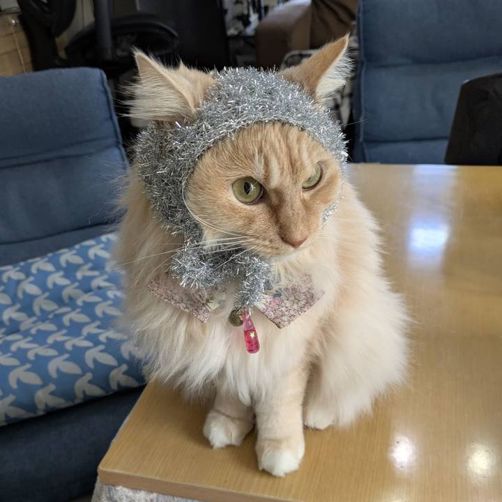 77356a25 1d1c 4926 8fca 5f75d896d06a 1773196000094