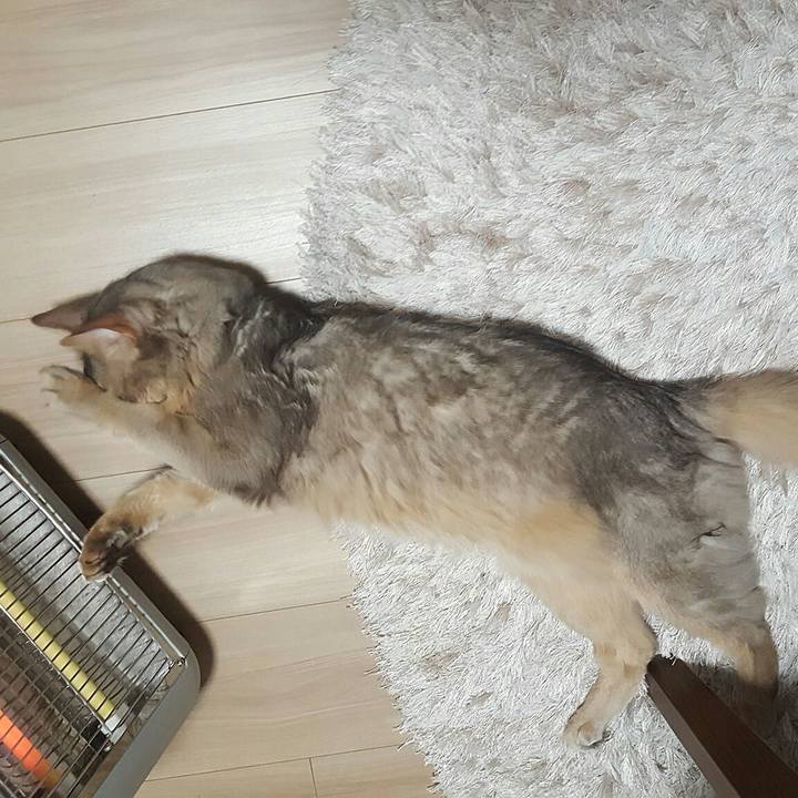 7735a715 31f3 4ac5 b5c3 98a55135054f 1555936947107