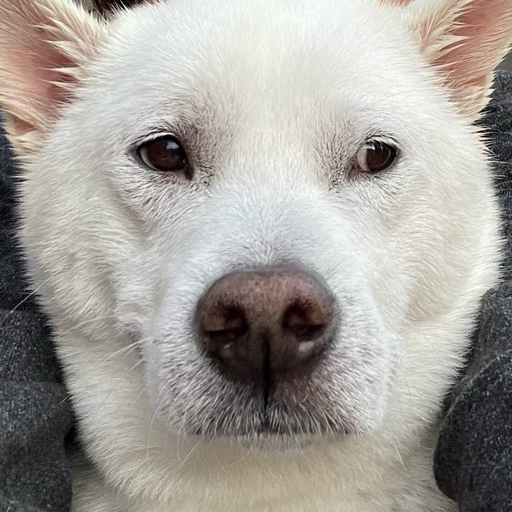 7735c44c 387f 42bb bdd3 6bd6b29f5f7d 1710410795720