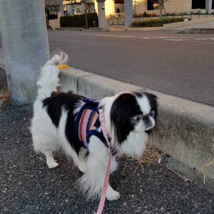 7735c9da 0cc7 4af9 9a9c 2cdf0e85bf26 1547975135884